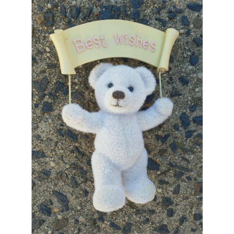 Fuzzi Bear