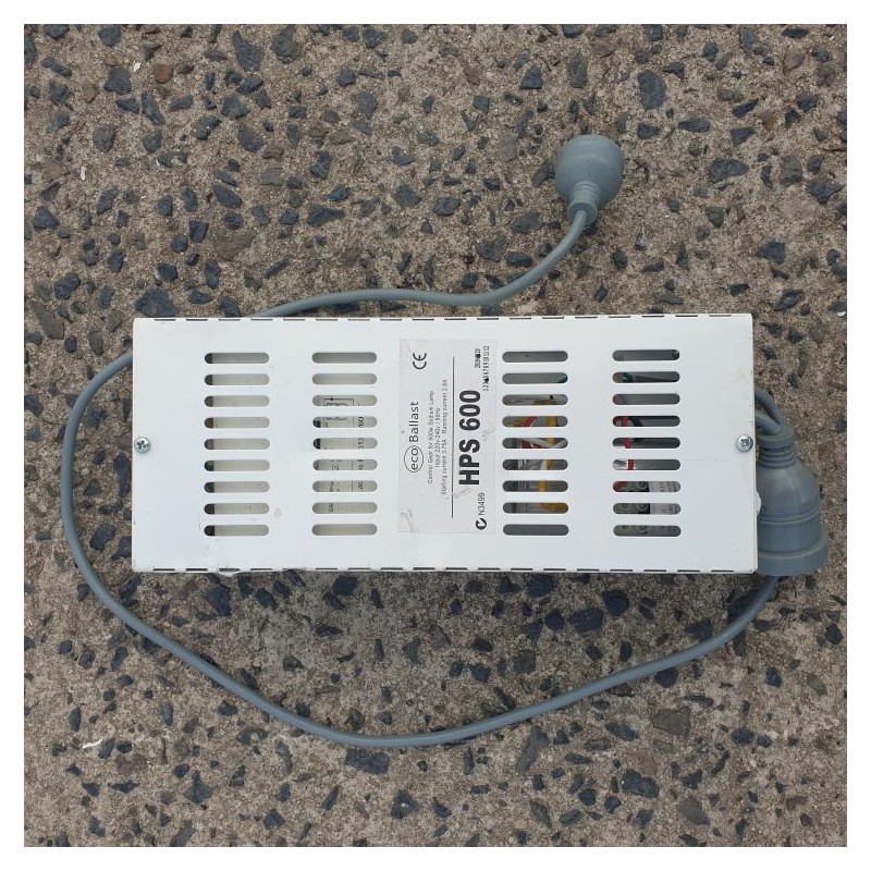 600W Ballasts